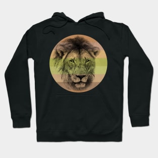 Lion Close-up on Retro-style Sunset in Colors of Africa Hoodie